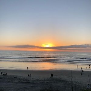 Meet your Posher, Marley